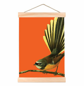 Bright Fantail - Wall Chart Art Print 100% NZ