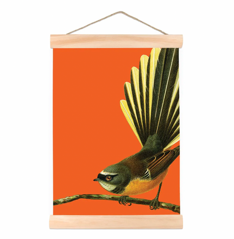 Bright Fantail - Wall Chart