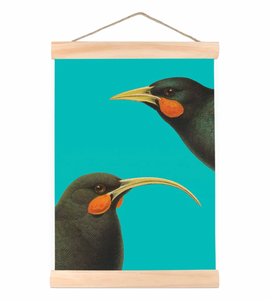 Bright Huia - Wall Chart Art Print 100% NZ