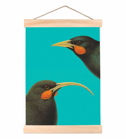 Bright Huia - Wall Chart Art Print 100% NZ