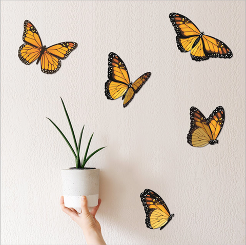 Monarch Butterfly Wall Set Wall Art Crystal Ashley