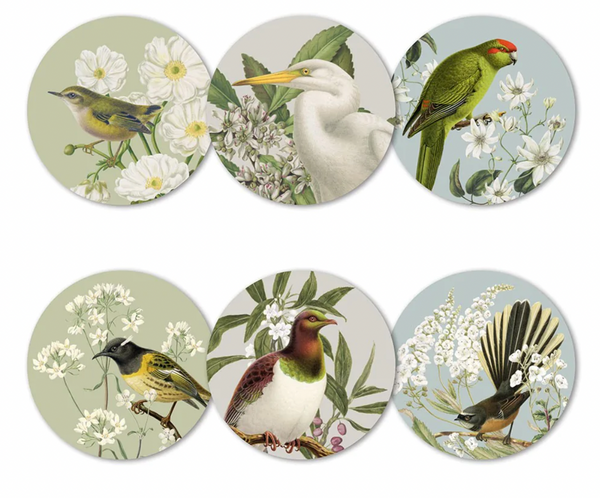 Birds and Botanicals of NZ Box of 6 Placemats