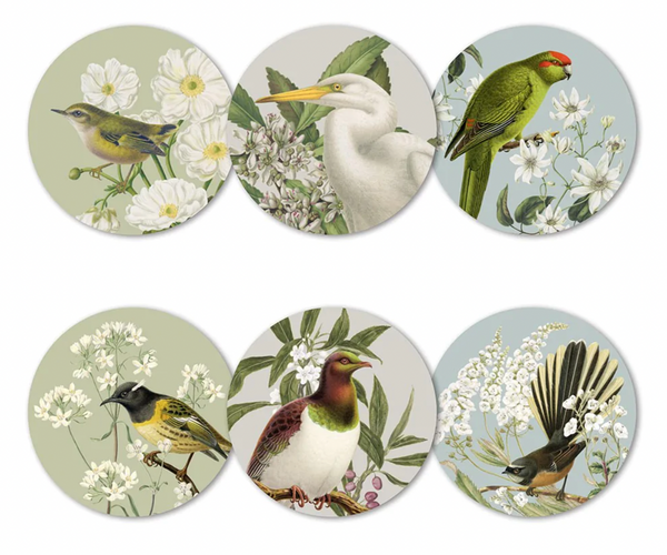 Birds and Botanicals of NZ Box of 6 Coasters Coaster 100% NZ