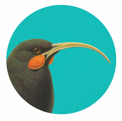 Bright Huia Art Spots (Decal) Decals 100% NZ