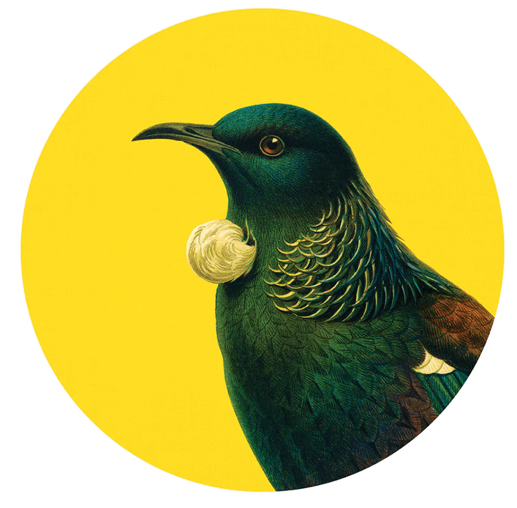 Bright Tui Art Spots (Decal)
