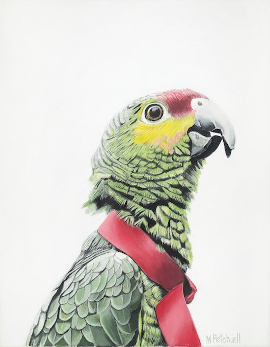 Parrot Bird "Algernon" Art Print