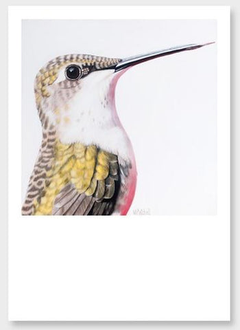 Hummingbird "Ava" Art Print