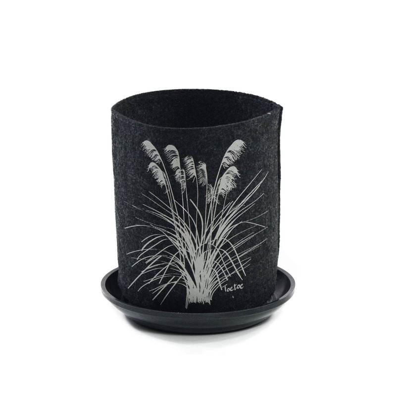 Toetoe On Dark Grey Grow Bag