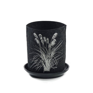 Toetoe On Dark Grey Grow Bag