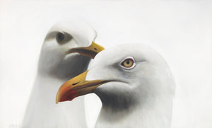 Seagull  "Barret and Lorenzo" Art Print