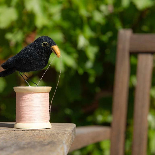 Black Bird on Bobbin