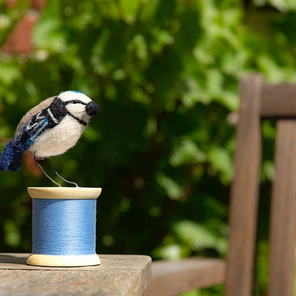 Blue Tit Bird on Bobbin