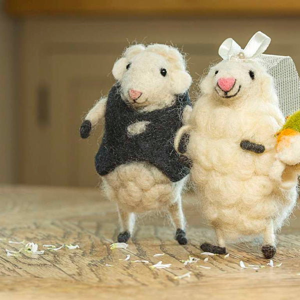 Bride and Groom Sheep