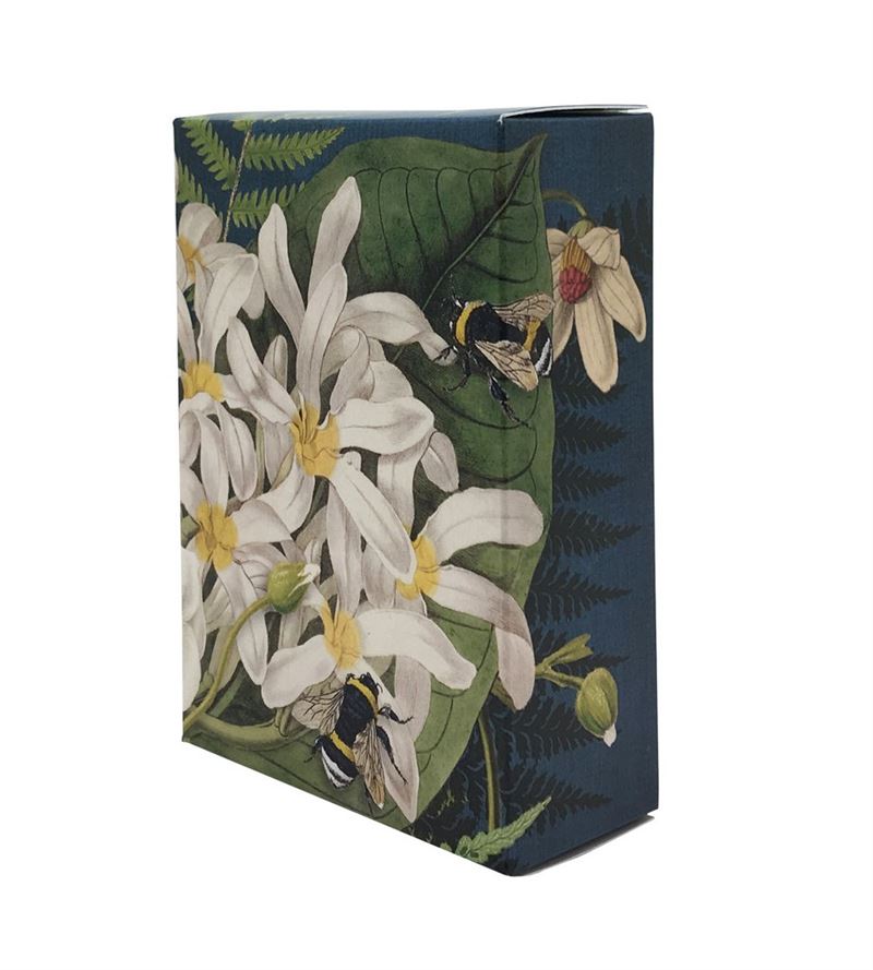 Clematis - Boxed Soap