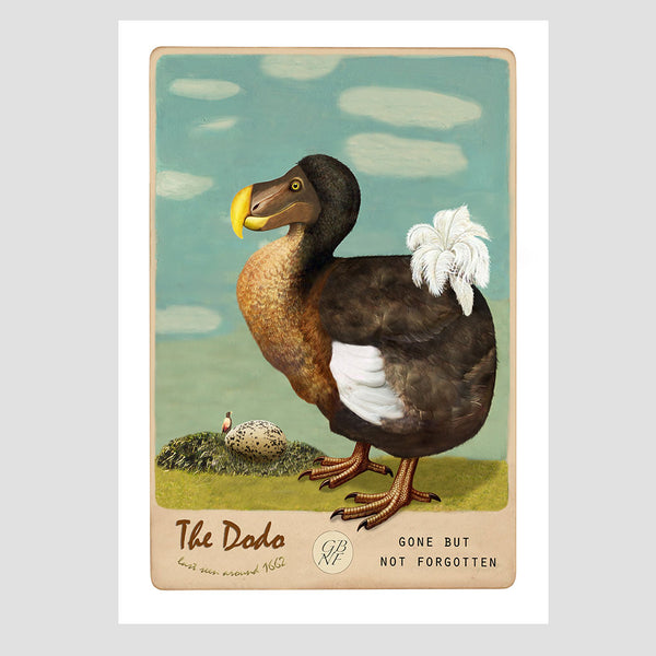 The Dodo - Art Print - Marika Jones - Design Withdrawals