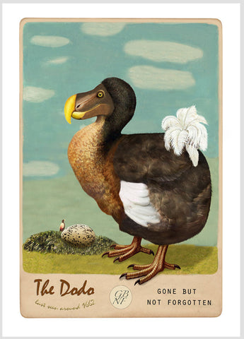 The Dodo - Art Print - Marika Jones - Design Withdrawals