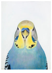 Budgie "Edgar" Art Print