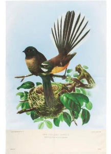 Fantail Tea Towel