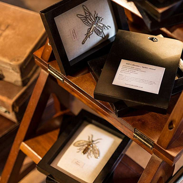 Beaded Spider from the Cabinet of Curiosity