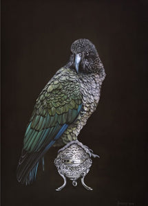 Kea On Vessel - Jane Crisp - Art Print + Matting - Jane Crisp - Design Withdrawals