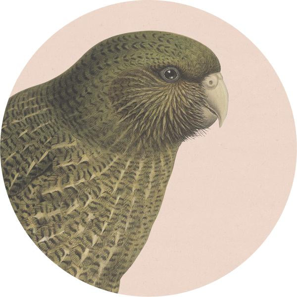 Coasters - Hush Bird Range