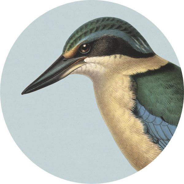 Coasters - Hush Bird Range