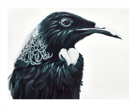 NZ Tui Bird "Koko" Art Print