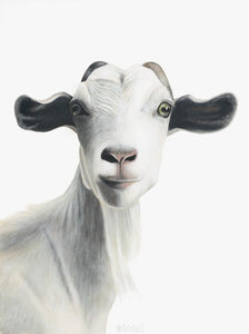 "Goat" Art Print