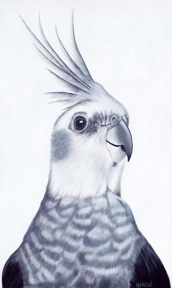 Cockatiel "Mr Perkins" Art Print