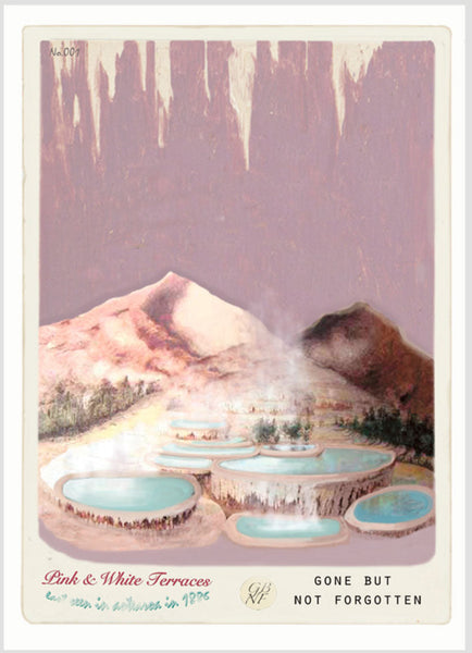 Pink & White Terraces - Art Print