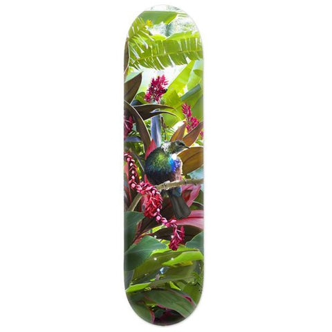 Lucy G Tropical NZ Tui - Skate Deck - Design Withdrawals - Design Withdrawals