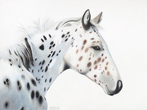 Horse "Stetson" Art Print