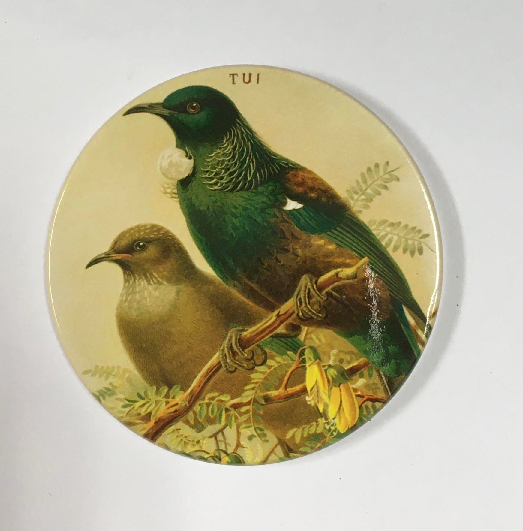 Ceramic Coaster- Tui Coasters Derek