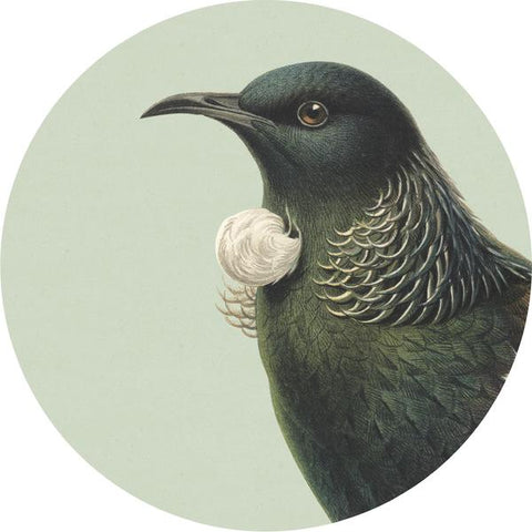Coasters - Hush Bird Range
