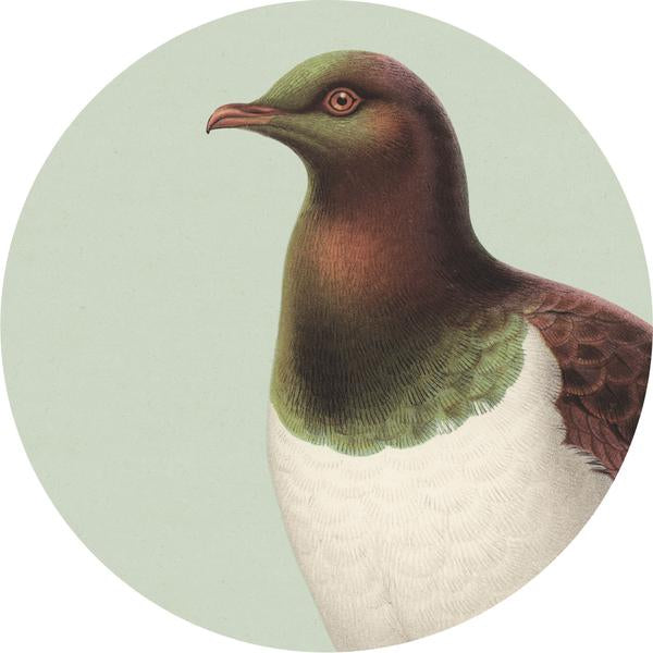 Coasters - Hush Bird Range